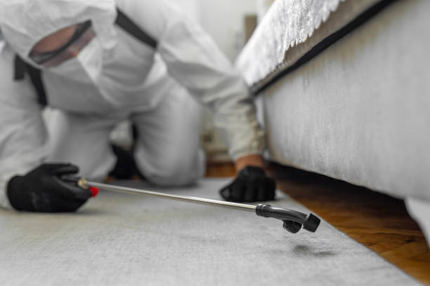 Professional Cockroach Control technician working in La Puente, CA