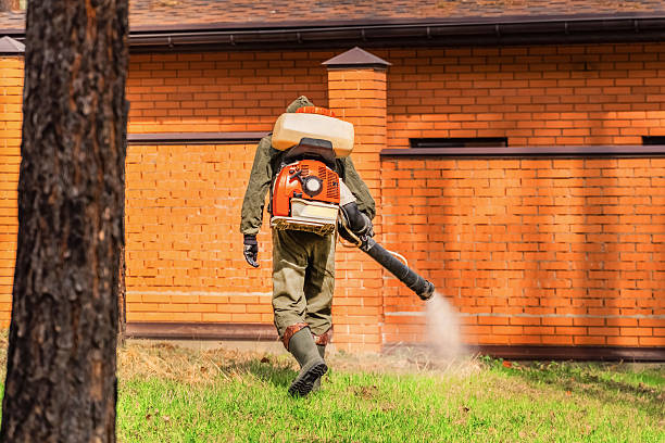 Trusted Termite Control service in La Puente, CA - Nex Pest Control
